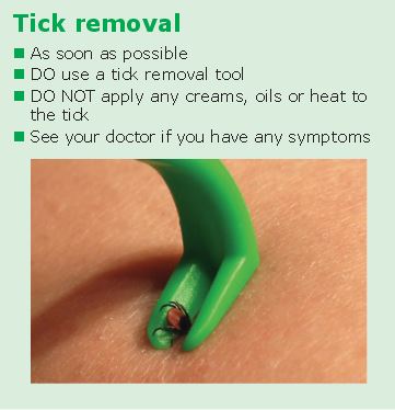 Tick removal